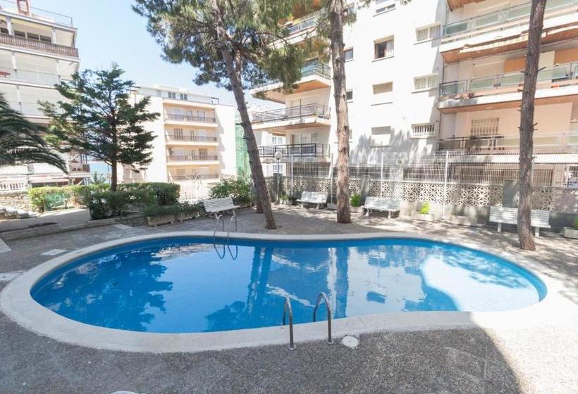 Apartamentos Paradis