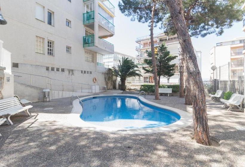 Apartamentos Paradis