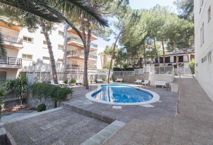 Apartamentos Paradis