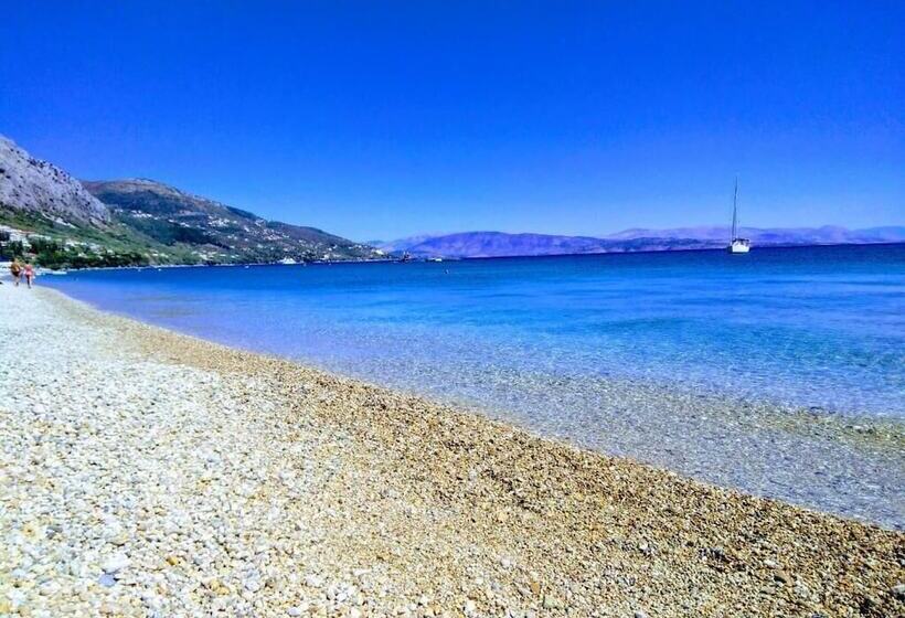 Comfy Hostel Studios