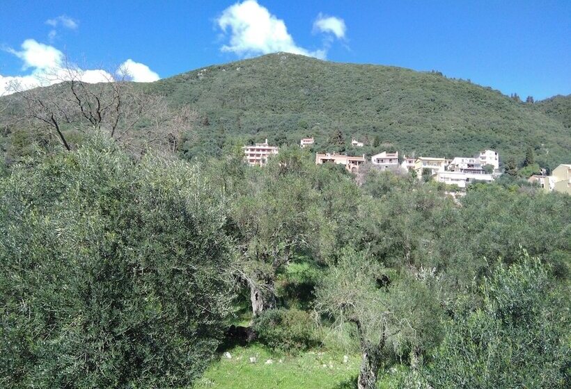 Comfy Hostel Studios