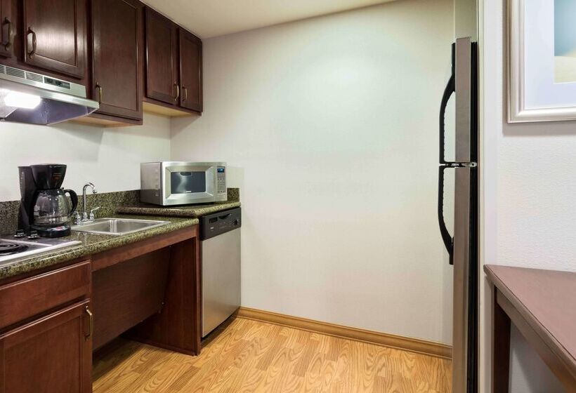 Homewood Suites By Hilton Tampa Airport   Westshore