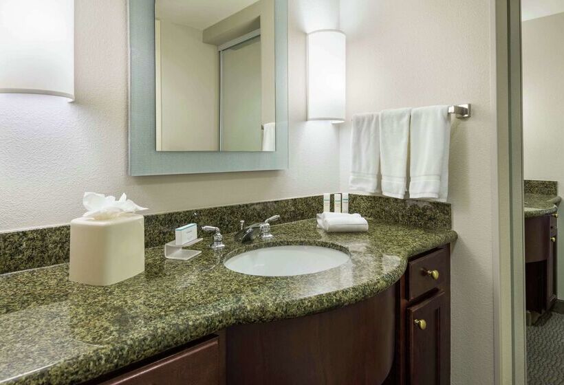 Homewood Suites By Hilton Tampa Airport   Westshore