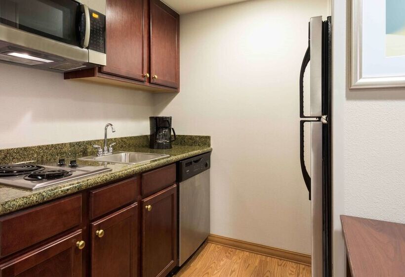 Homewood Suites By Hilton Tampa Airport   Westshore
