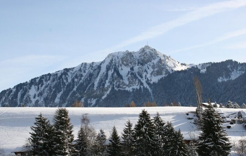 ホテル Castel Club Leysin Parc Resort