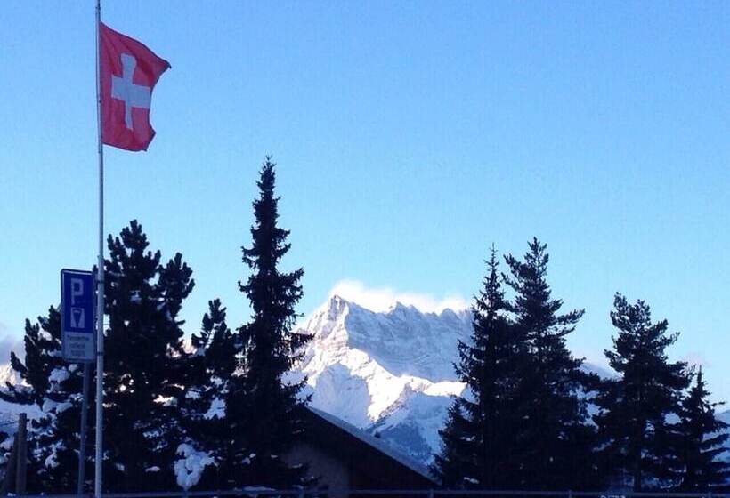 ホテル Castel Club Leysin Parc Resort