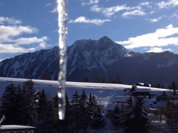 ホテル Castel Club Leysin Parc Resort