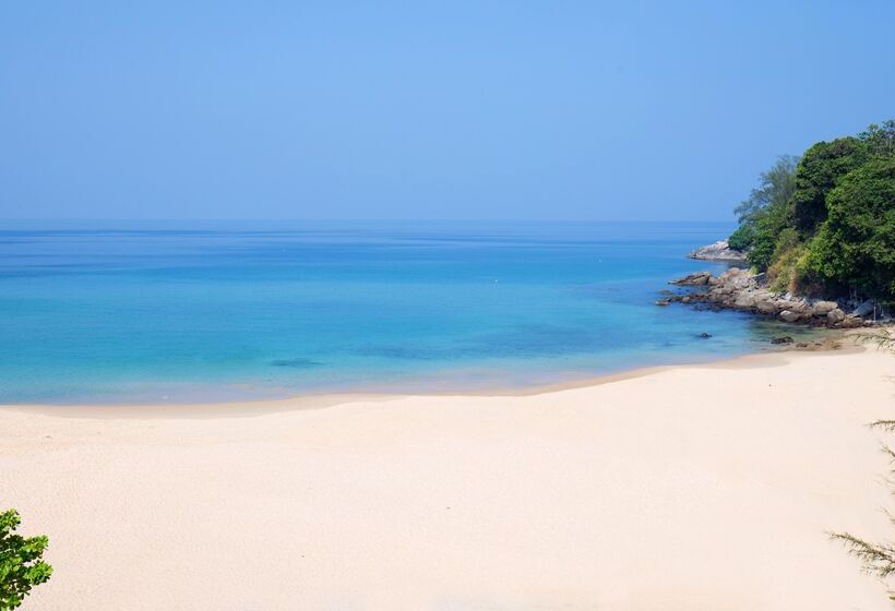Hotel Centara Grand Beach Resort Phuket   Sha Plus
