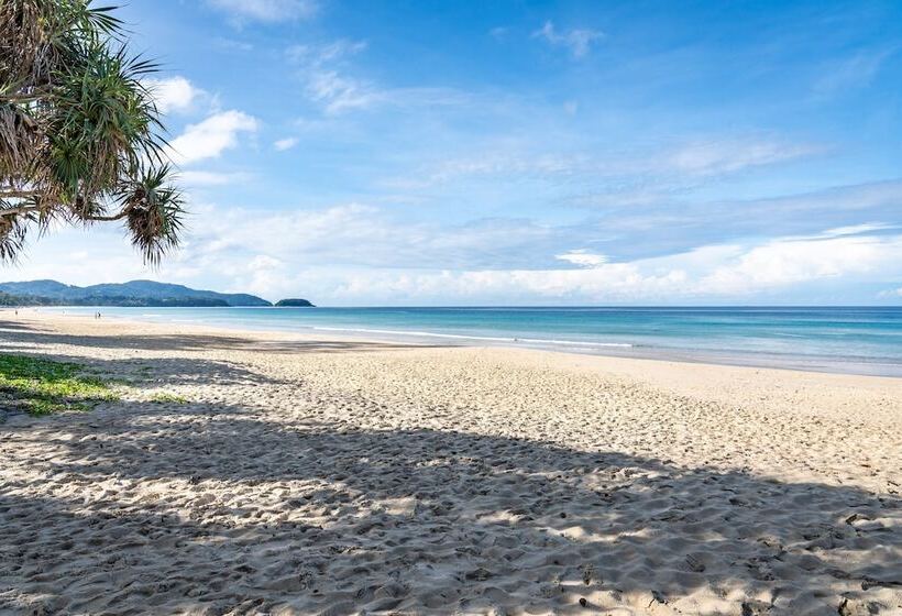 Hotel Centara Grand Beach Resort Phuket   Sha Plus