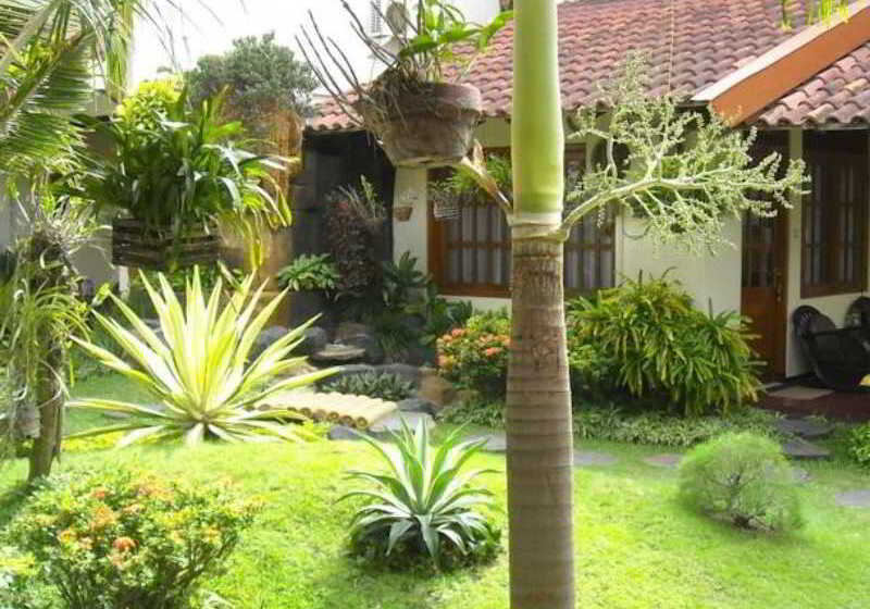 בית מלון כפרי Duta Guest House