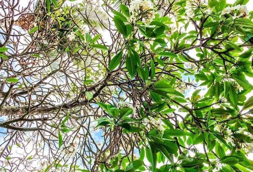 호텔 Farol De Itapua Praia