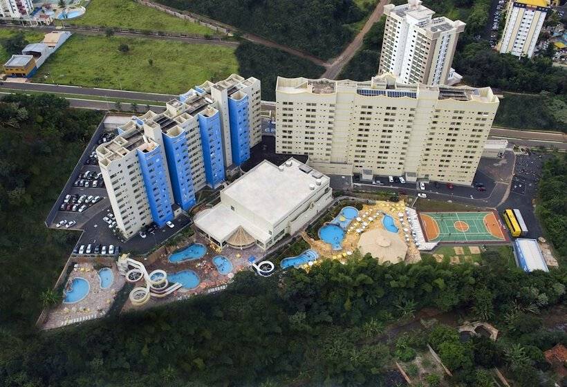 Hotel Golden Dolphin Flat Top Jc