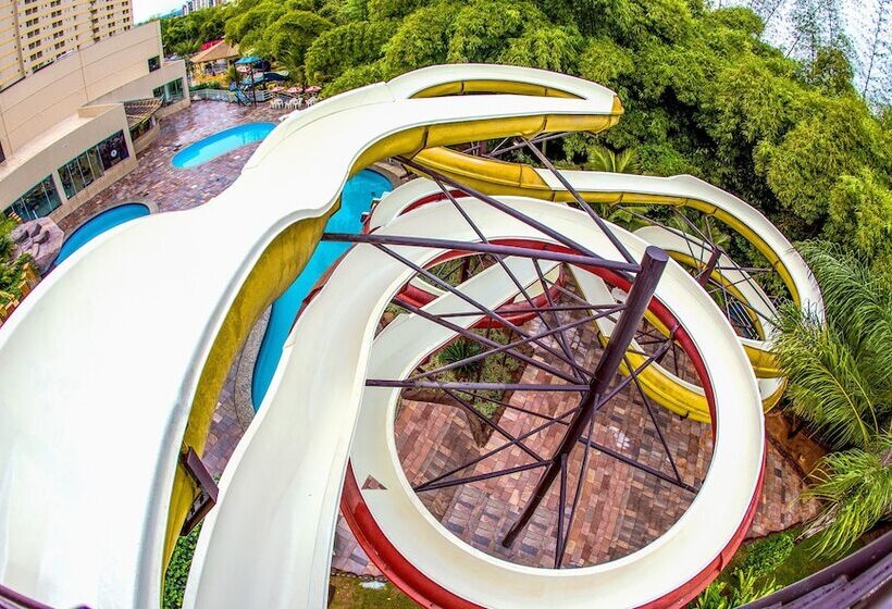 Hotel Golden Dolphin Flat Top Jc