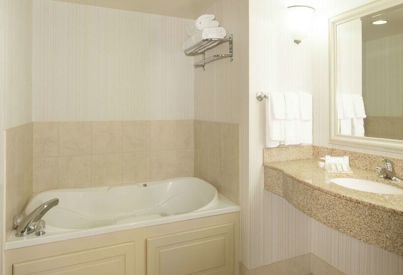 Отель Hilton Garden Inn Virginia Beach Town Center