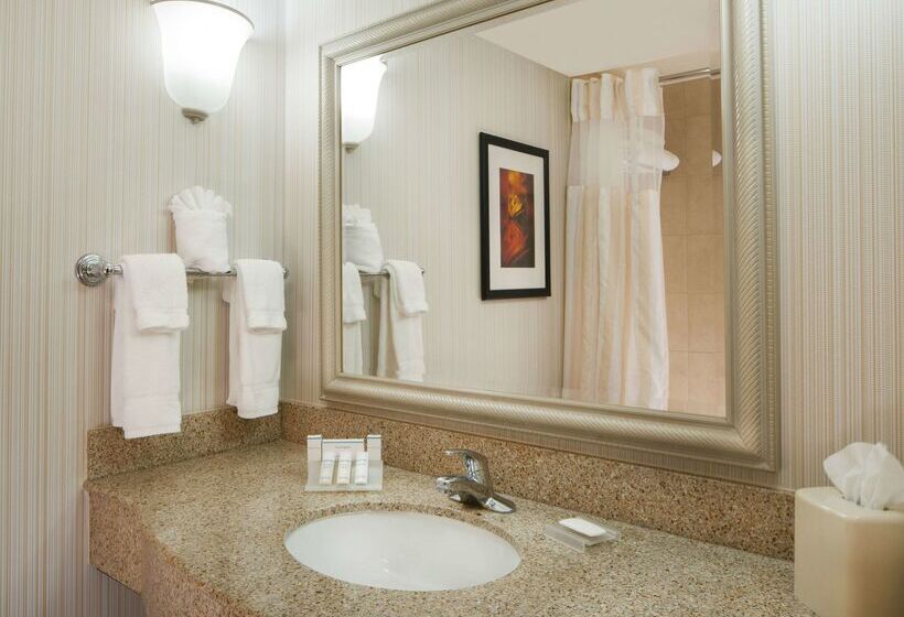 酒店 Hilton Garden Inn Virginia Beach Town Center