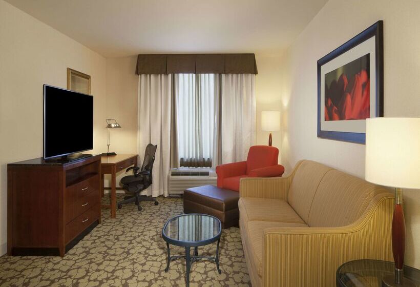 Отель Hilton Garden Inn Virginia Beach Town Center