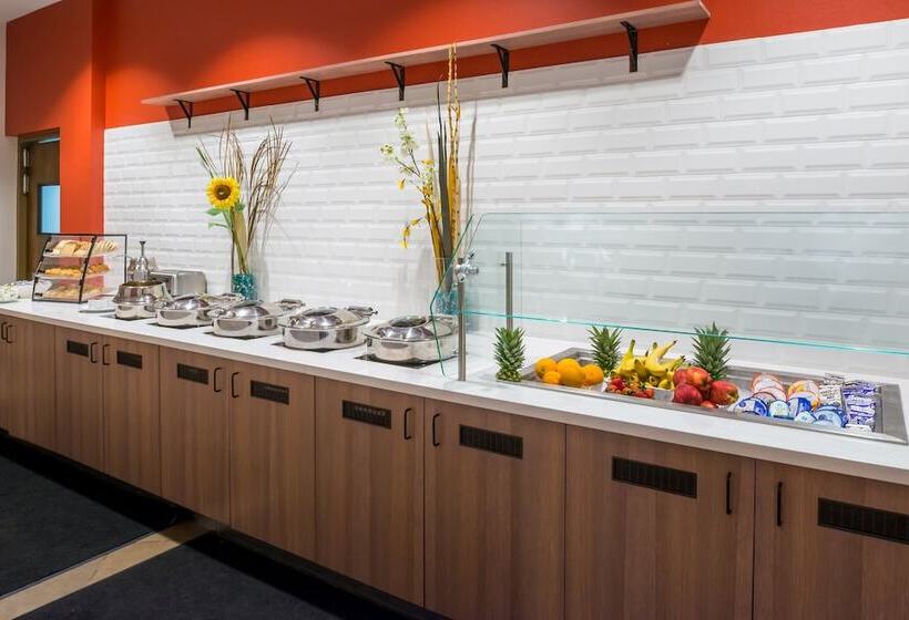 فندق Holiday Inn Kansas City Airport, An Ihg