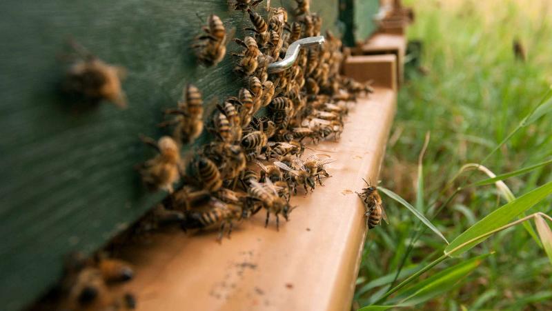 호텔 Ibis Styles Aix Les Bains Domaine De Marlioz