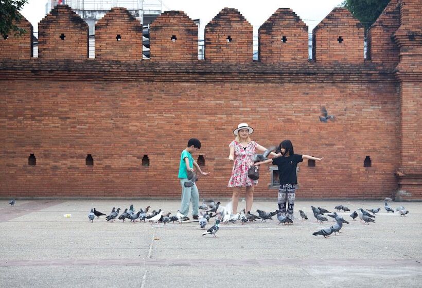 Imm Hotel Thaphae Chiang Mai