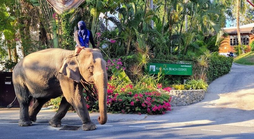 فندق Kamala Beach Estate Resort   Sha Extra Plus