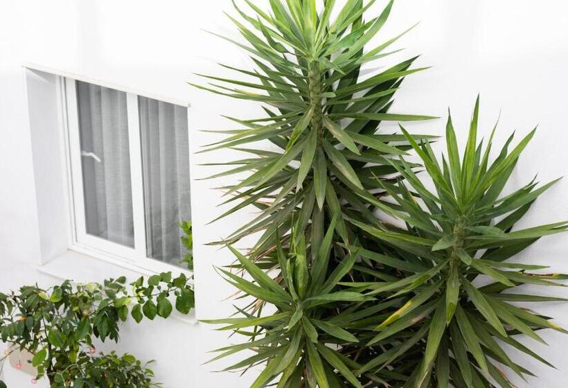 ホテル La Boutique Puerta Osario