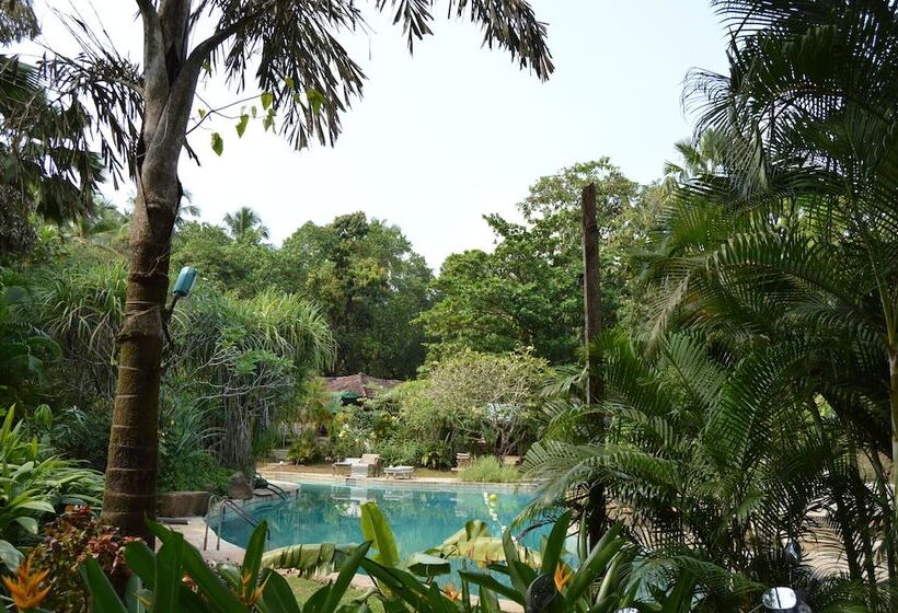 هتل Laguna Anjuna