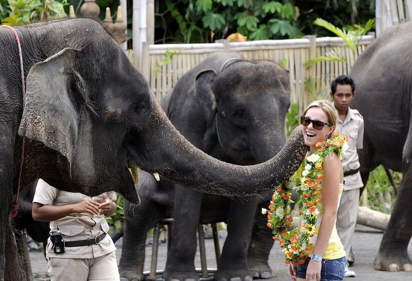 فندق Mara River Safari Lodge Bali