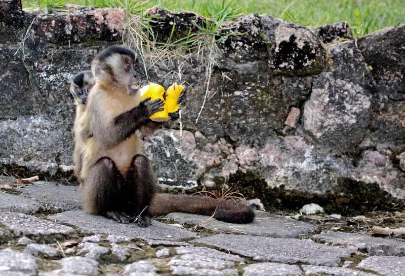 فندق Mato Grosso Águas Quentes