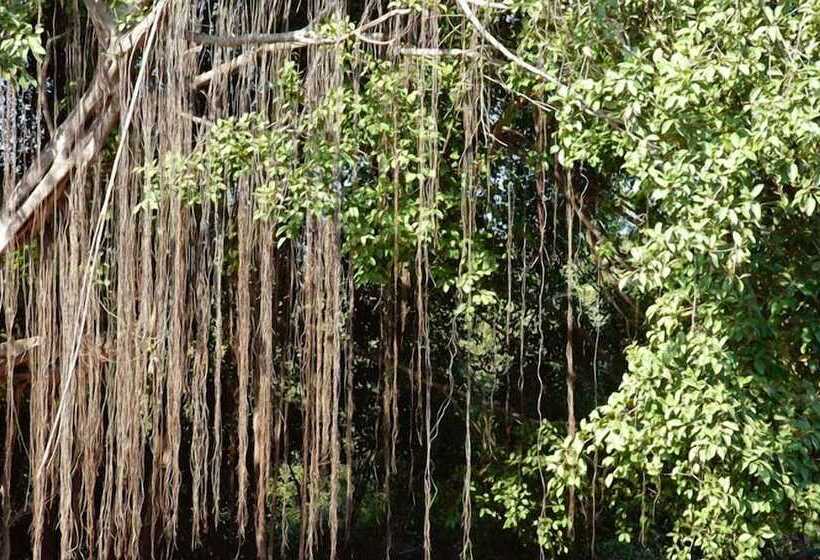 酒店 Nirvana Hermitage