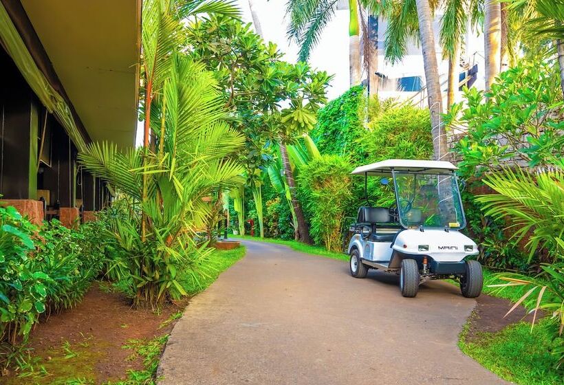 O Hotel Goa, Candolim Beach