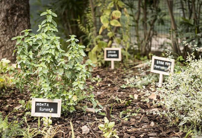 هتل Occidental Aurelia