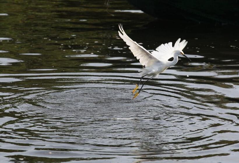 فندق Pantanal Mato Grosso