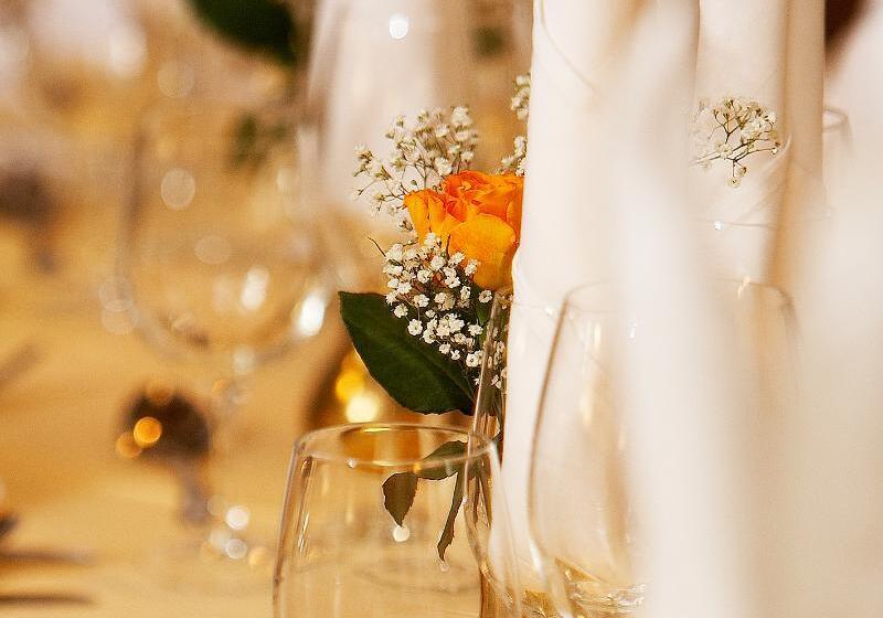 בית מלון כפרי Panther'a