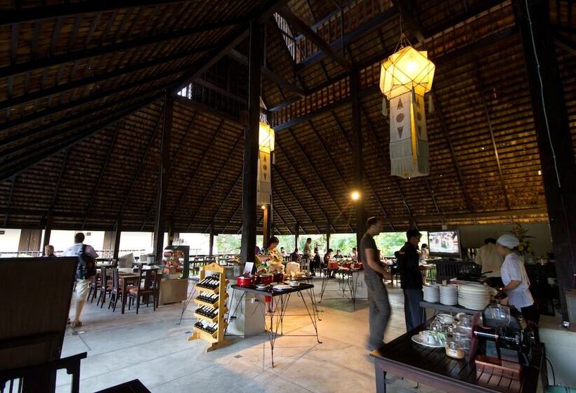 Отель Rainforest Chiangmai