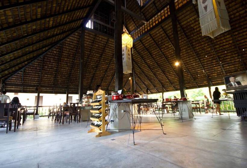 Отель Rainforest Chiangmai