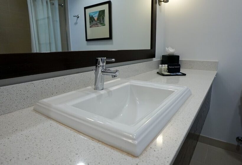 The Banyan Hotel Fort Myers, Tapestry Collection By Hilton