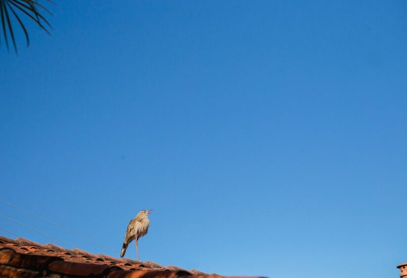 호텔 Voa Mirante Do Cafe