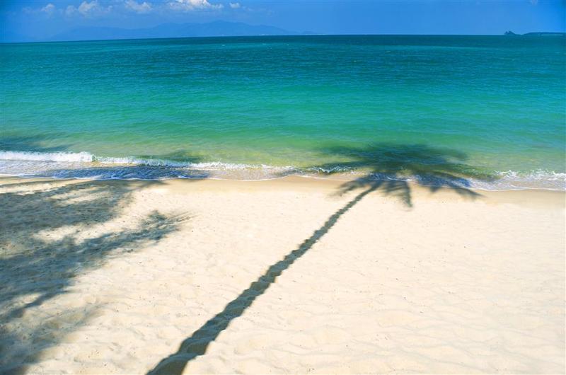 فندق W Koh Samui