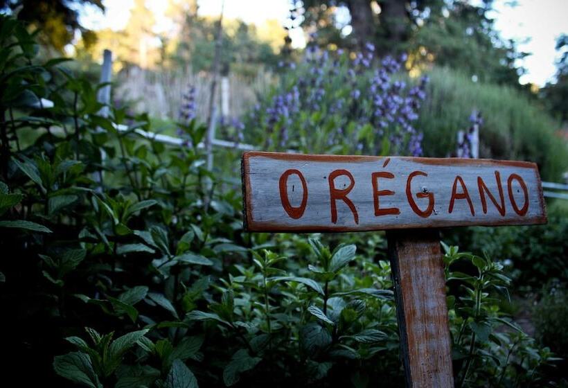 膳宿费 Los Juncos Patagonian Lake House