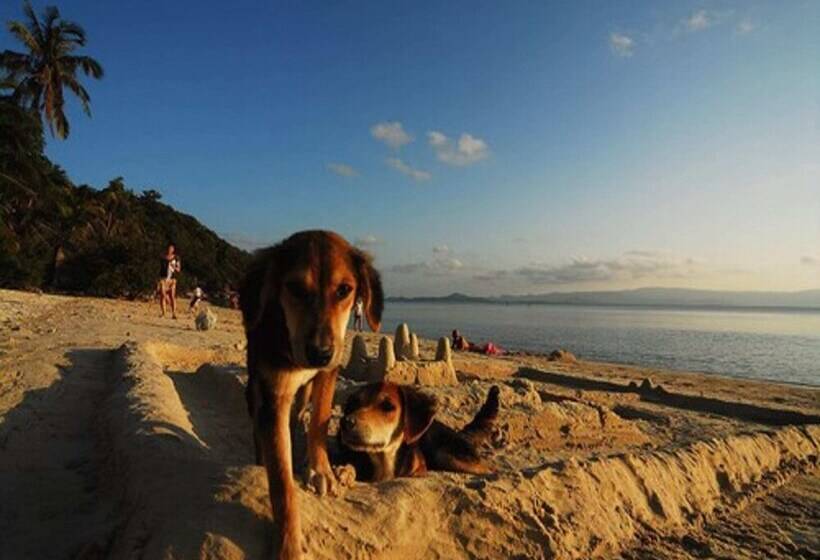 Sarikantang Resort & Spa, Koh Phangan