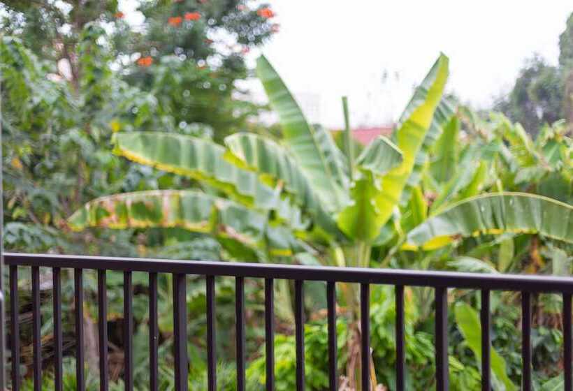 Studio 365 Serviced Apartments