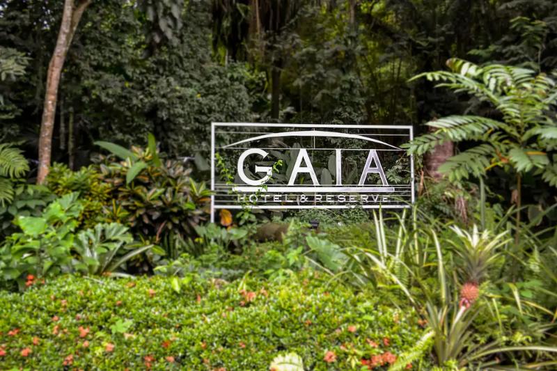 Gaia Hotel & Reserve  Adults Only