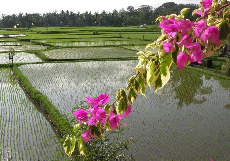 Green Field Hotel And Restaurant