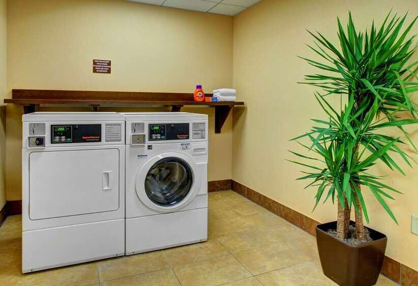 Hampton Inn & Suites Ft. Lauderdale West Sawgrass/tamarac