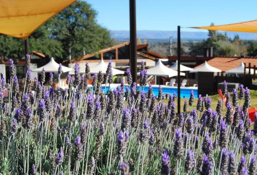 Harmonie Hotel De Montaña   Adults Only