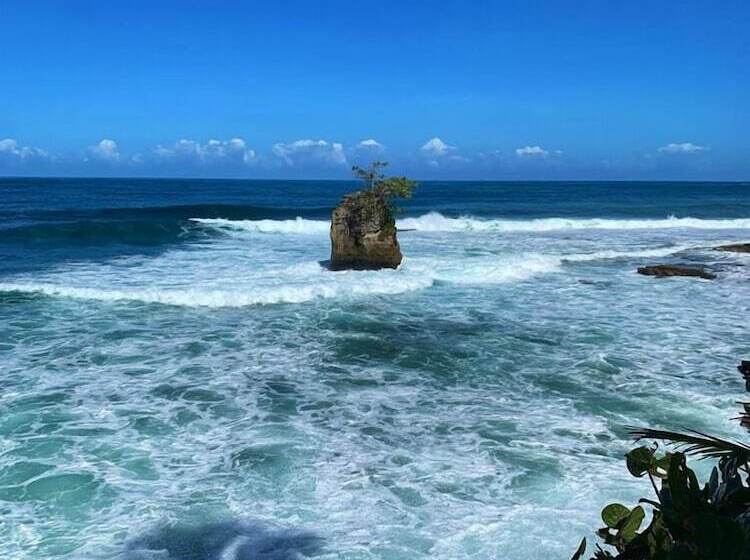 Отель Almonds & Corals Boutique