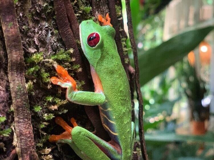 Отель Almonds & Corals Boutique