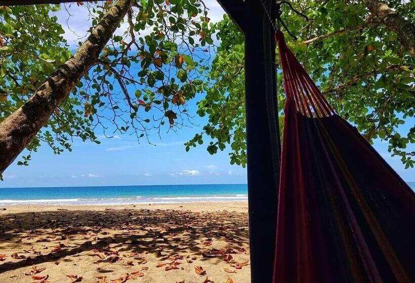 Отель Almonds & Corals Boutique