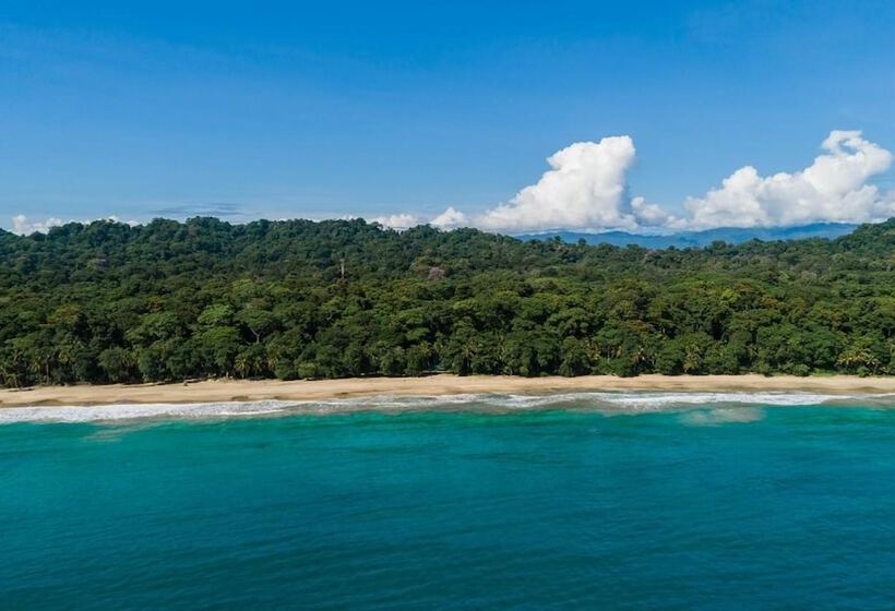 Отель Almonds & Corals Boutique