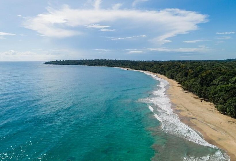 Отель Almonds & Corals Boutique